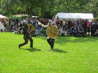 Knights fighting