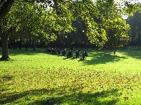Troops in open order