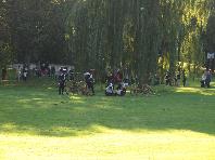 French artillery takes position